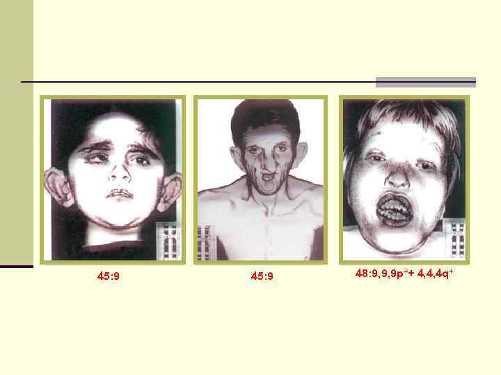 45: 9  48: 9, 9, 9 р++ 4, 4, 4 q+ 