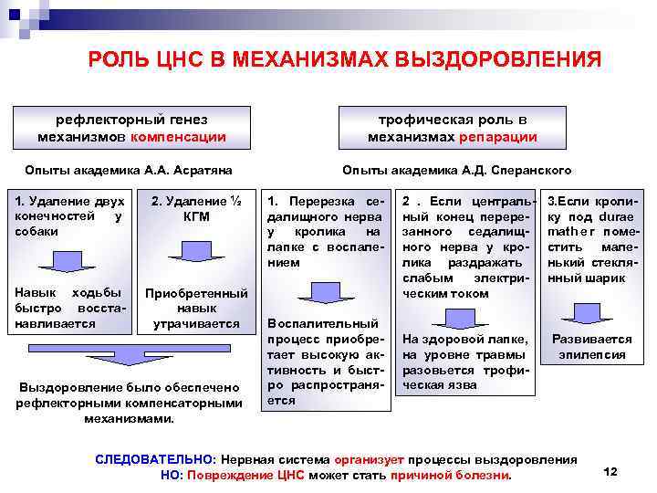    РОЛЬ ЦНС В МЕХАНИЗМАХ ВЫЗДОРОВЛЕНИЯ  рефлекторный генез   