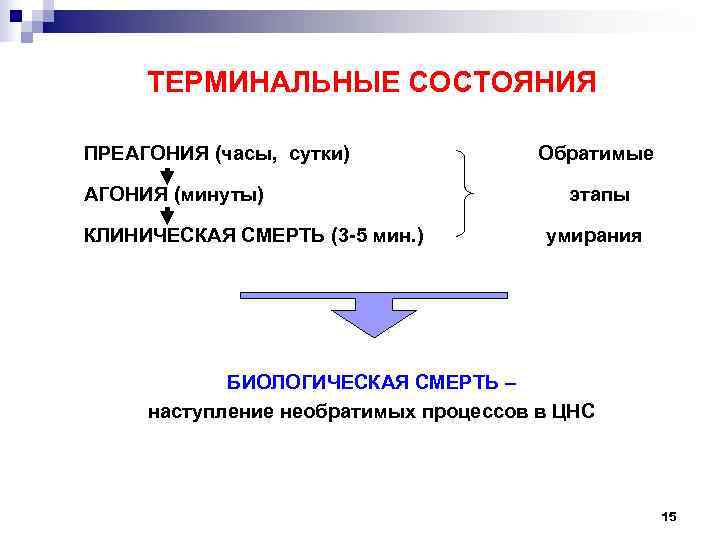 Периоды терминального состояния