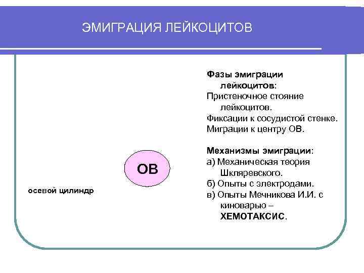   ЭМИГРАЦИЯ ЛЕЙКОЦИТОВ      Фазы эмиграции   