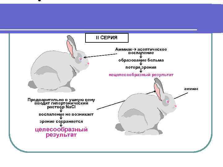       II СЕРИЯ    Аммиак асептическое 