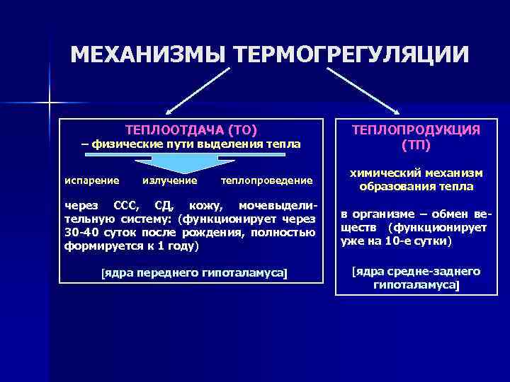 Процессы теплопродукции. Механизмы теплопродукции и теплоотдачи. Механизм терморегуляции теплообразование и теплоотдача. Механизмы теплопродукции и теплоотдачи патофизиология. Механизмы регуляции теплопродукции и теплоотдачи.