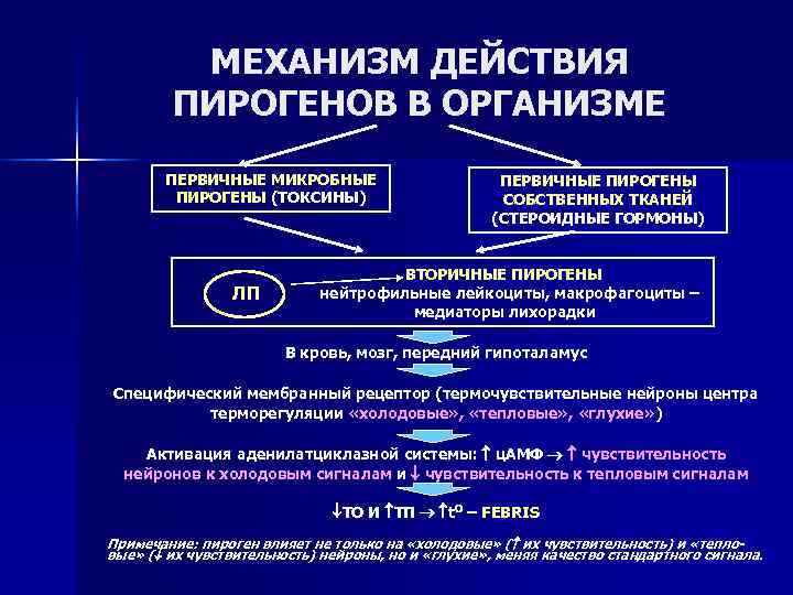   МЕХАНИЗМ ДЕЙСТВИЯ   ПИРОГЕНОВ В ОРГАНИЗМЕ  ПЕРВИЧНЫЕ МИКРОБНЫЕ 