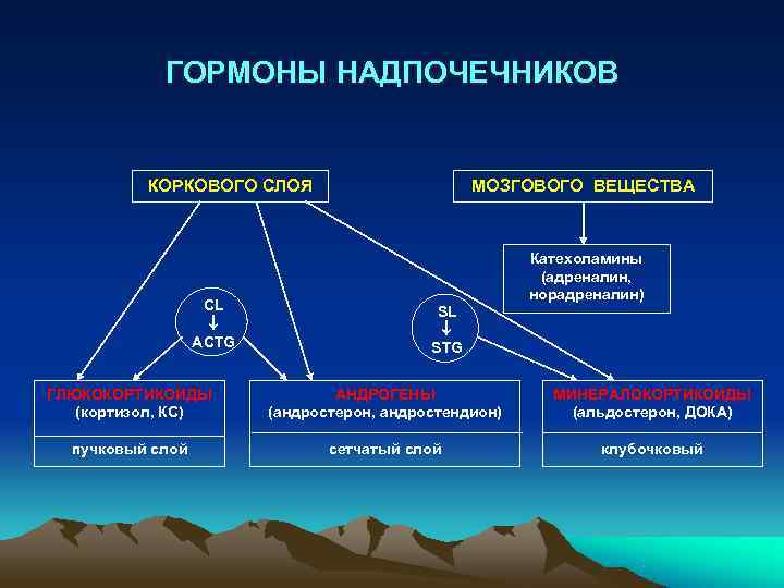   ГОРМОНЫ НАДПОЧЕЧНИКОВ   КОРКОВОГО СЛОЯ     МОЗГОВОГО ВЕЩЕСТВА