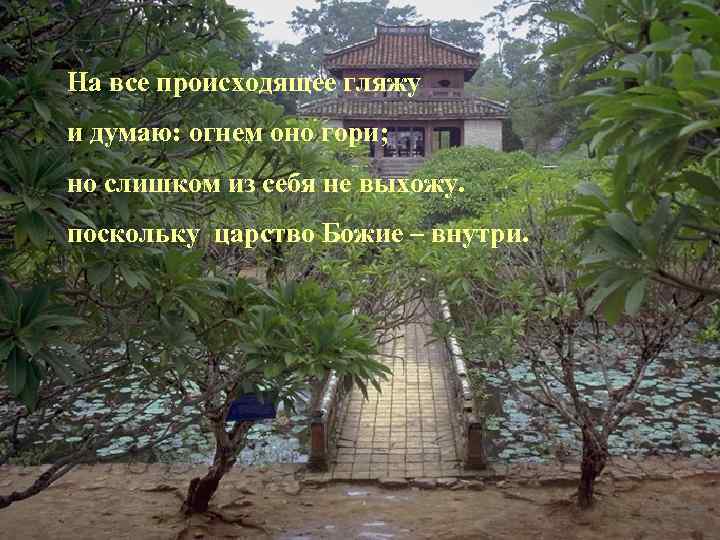 На все происходящее гляжу и думаю: огнем оно гори; но слишком из себя не