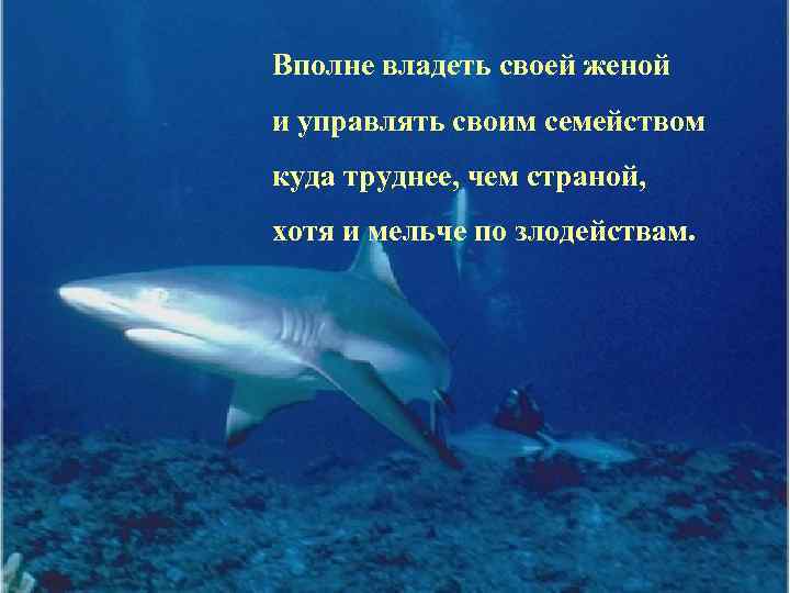 Вполне владеть своей женой и управлять своим семейством куда труднее, чем страной, хотя и