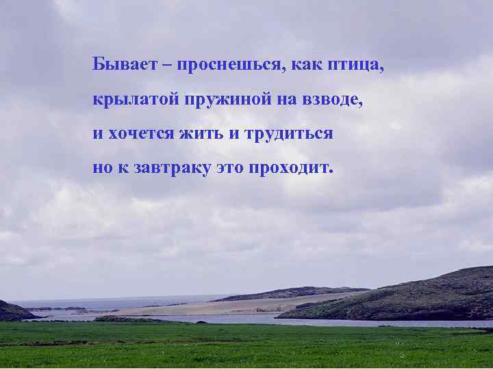 Бывает – проснешься, как птица, крылатой пружиной на взводе, и хочется жить и трудиться