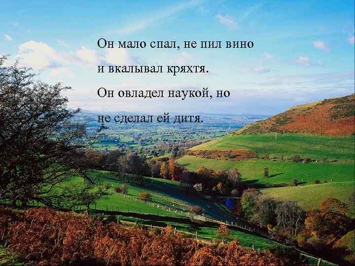 Он мало спал, не пил вино и вкалывал кряхтя. Он овладел наукой, но не