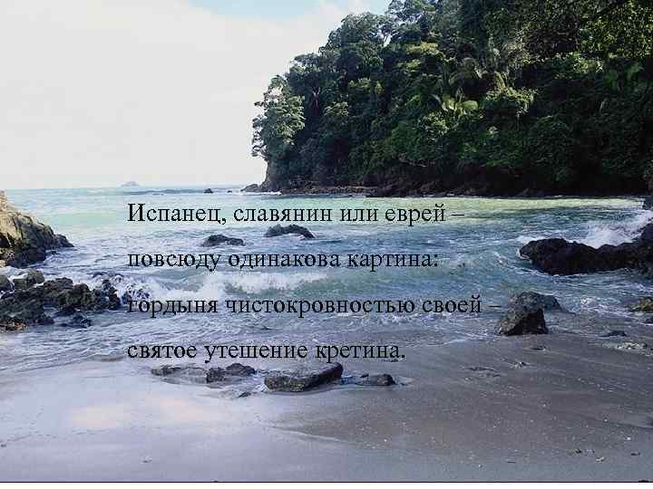 Испанец, славянин или еврей – повсюду одинакова картина: гордыня чистокровностью своей – святое утешение