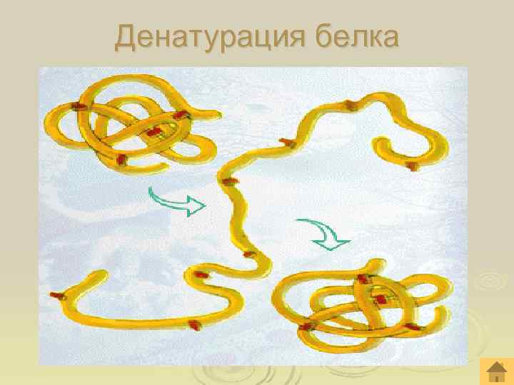 Денатурация белка 