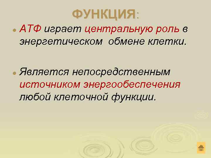    ФУНКЦИЯ: l  АТФ играет центральную роль в энергетическом обмене клетки.