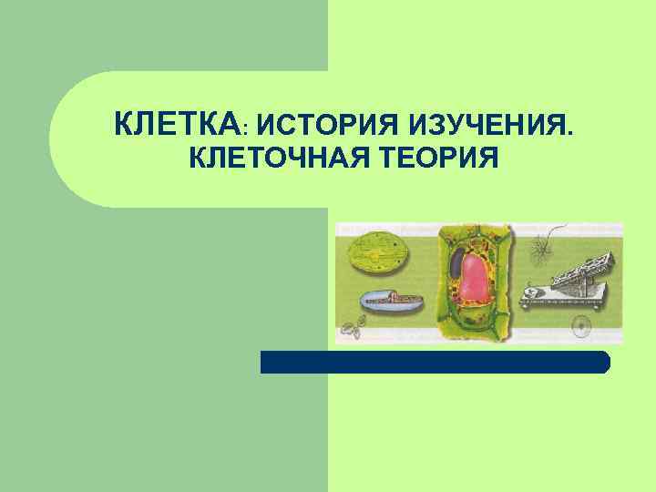 КЛЕТКА: ИСТОРИЯ ИЗУЧЕНИЯ. КЛЕТОЧНАЯ ТЕОРИЯ 