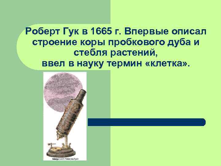 Роберт Гук в 1665 г. Впервые описал строение коры пробкового дуба и  