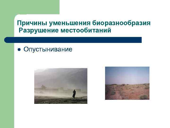 Причины уменьшения биоразнообразия Разрушение местообитаний l  Опустынивание 