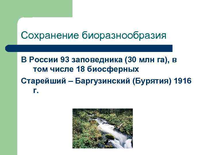 Сохранение биоразнообразия В России 93 заповедника (30 млн га), в  том числе 18