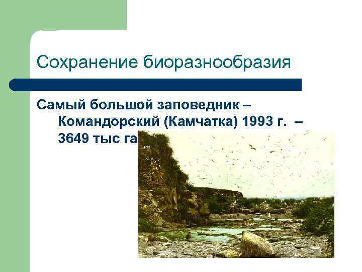 Сохранение биоразнообразия Самый большой заповедник –  Командорский (Камчатка) 1993 г. –  3649