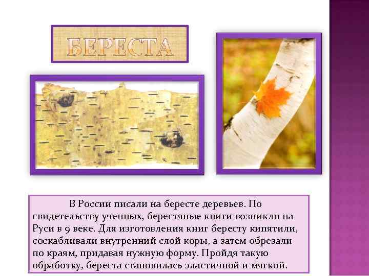 В России писали на бересте деревьев. По свидетельству ученных, берестяные книги возникли на Руси