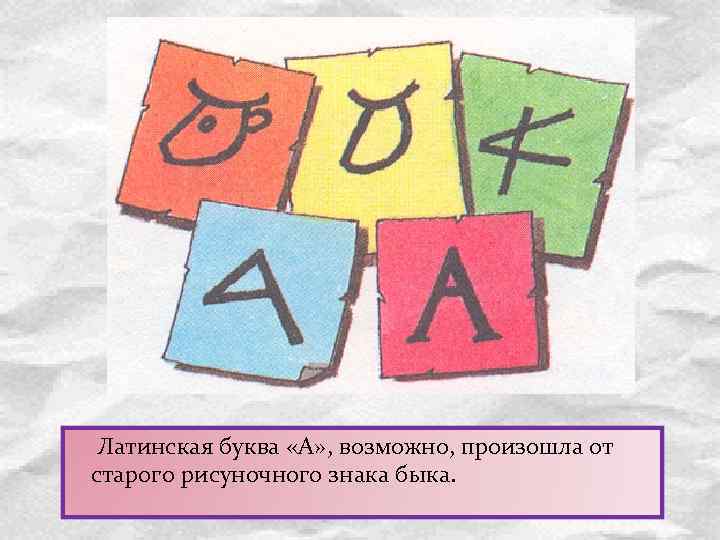  Латинская буква «А» , возможно, произошла от старого рисуночного знака быка. 