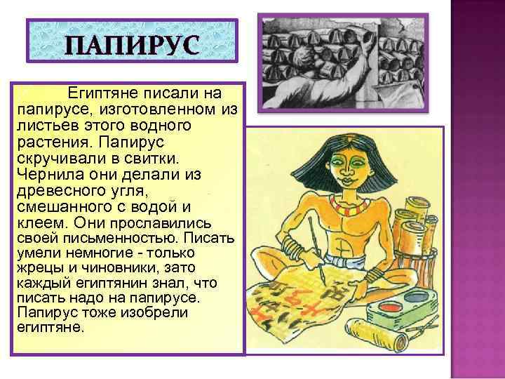 ПАПИРУС Египтяне писали на папирусе, изготовленном из листьев этого водного растения. Папирус скручивали в