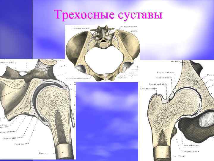 Трехосные суставы 