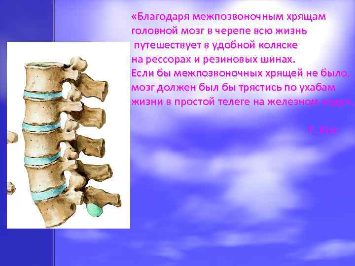  «Благодаря межпозвоночным хрящам головной мозг в черепе всю жизнь путешествует в удобной коляске