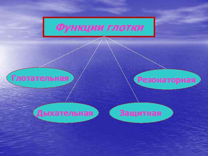 Функции глотки Глотательная Дыхательная Резонаторная Защитная 