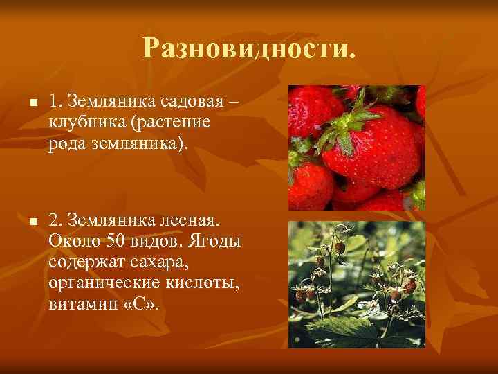    Разновидности. n  1. Земляника садовая – клубника (растение рода земляника).