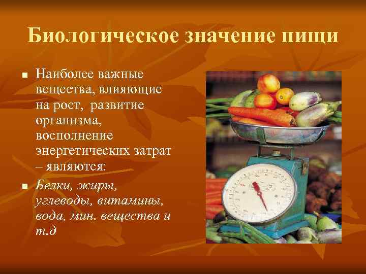 Биологическое значение пищи n  Наиболее важные вещества, влияющие на рост, развитие организма, восполнение
