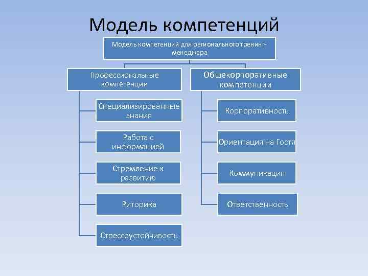 Модель компетенций для регионального тренинг-     менеджера  Профессиональные  