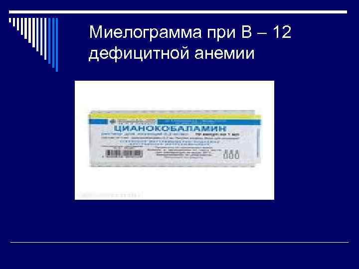 Миелограмма при В – 12 дефицитной анемии 