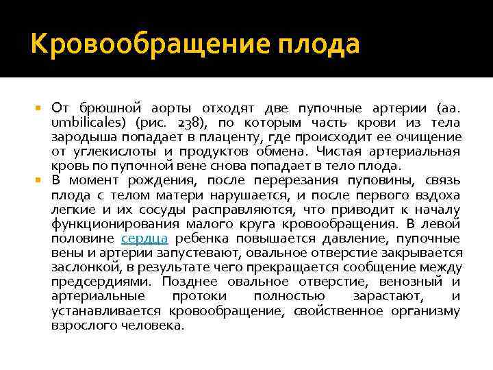 Кровообращение плода  От брюшной аорты отходят две пупочные артерии (aa.  umbilicales) (рис.