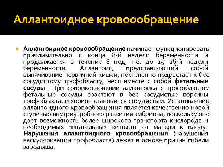 Аллантоидное кровоообращение начинает функционировать приблизительно с конца 8 -й недели беременности и продолжается в