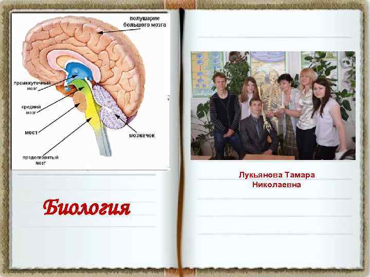 Лукьянова Тамара Николаевна Биология 