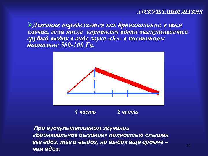        АУСКУЛЬТАЦИЯ ЛЕГКИХ ØДыхание определяется как бронхиальное, в