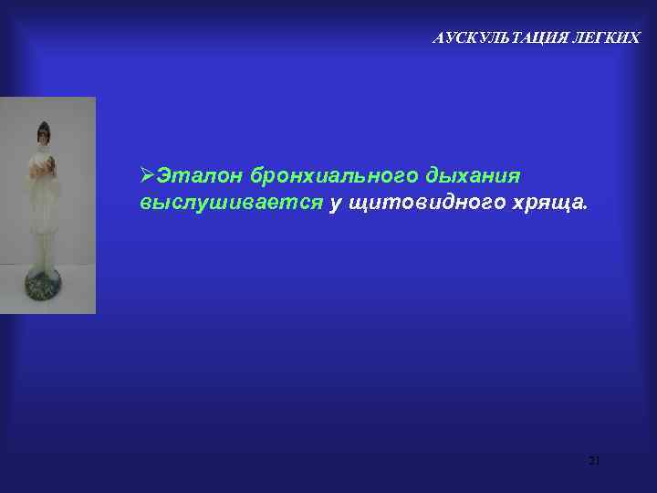      АУСКУЛЬТАЦИЯ ЛЕГКИХ ØЭталон бронхиального дыхания выслушивается у щитовидного хряща.