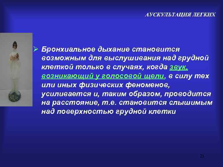      АУСКУЛЬТАЦИЯ ЛЕГКИХ Ø Бронхиальное дыхание становится  возможным для