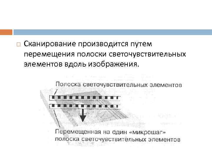   Сканирование производится путем перемещения полоски светочувствительных элементов вдоль изображения. 
