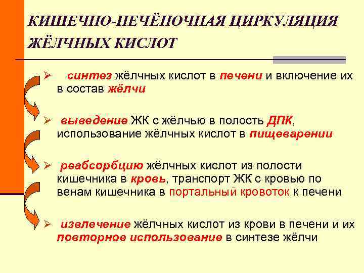 КИШЕЧНО-ПЕЧЁНОЧНАЯ ЦИРКУЛЯЦИЯ ЖЁЛЧНЫХ КИСЛОТ Ø синтез жёлчных кислот в печени и включение КИШЕЧНО-ПЕЧЁНОЧНАЯ ЦИРКУЛЯЦИЯ ЖЁЛЧНЫХ КИСЛОТ Ø синтез жёлчных кислот в печени и включение
