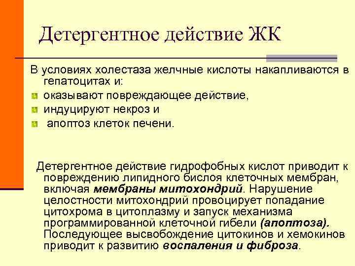 Детергентное действие ЖК В условиях холестаза желчные кислоты накапливаются в гепатоцитах и: Детергентное действие ЖК В условиях холестаза желчные кислоты накапливаются в гепатоцитах и: