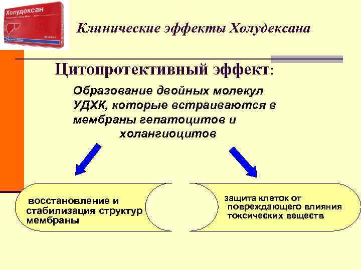 Клинические эффекты Холудексана Цитопротективный эффект: Образование Клинические эффекты Холудексана Цитопротективный эффект: Образование