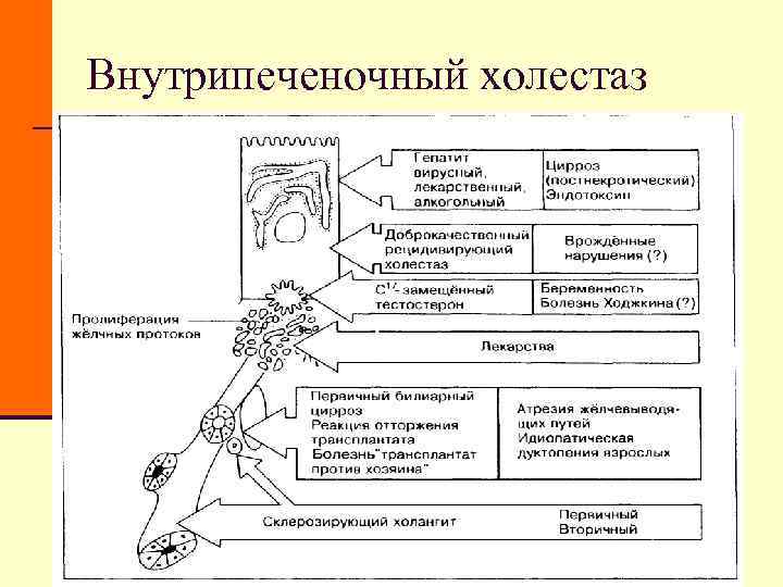 Внутрипеченочный холестаз Внутрипеченочный холестаз