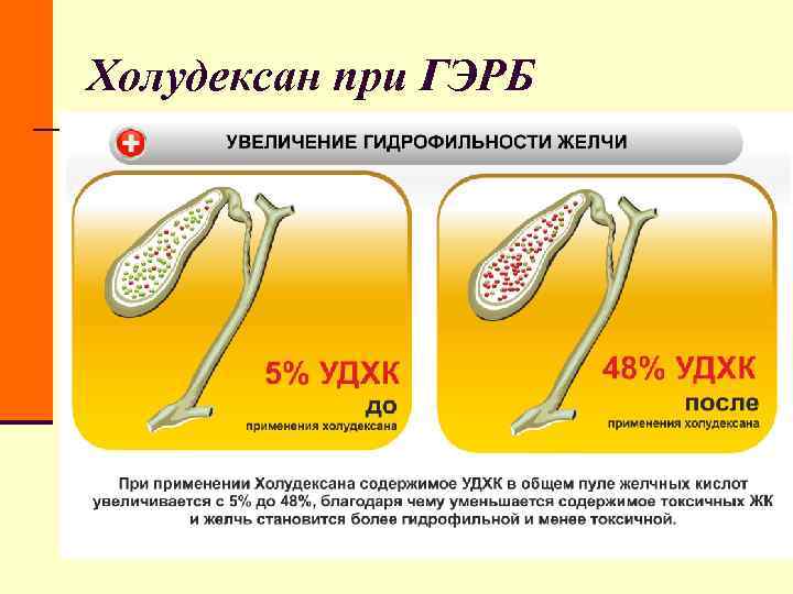 Холудексан при ГЭРБ Холудексан при ГЭРБ