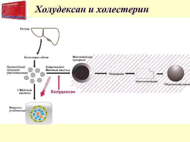 Холудексан и холестерин Холудексан и холестерин