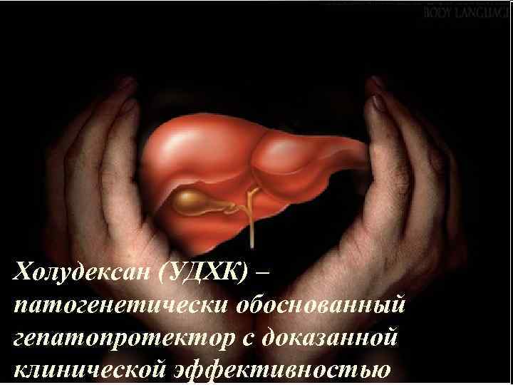 Холудексан (УДХК) – патогенетически обоснованный гепатопротектор с доказанной клинической эффективностью Холудексан (УДХК) – патогенетически обоснованный гепатопротектор с доказанной клинической эффективностью