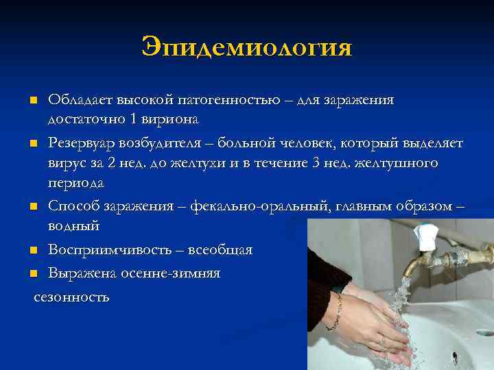     Эпидемиология n Обладает высокой патогенностью – для заражения  достаточно