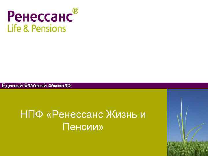 Единый базовый семинар   НПФ «Ренессанс Жизнь и   Пенсии» 