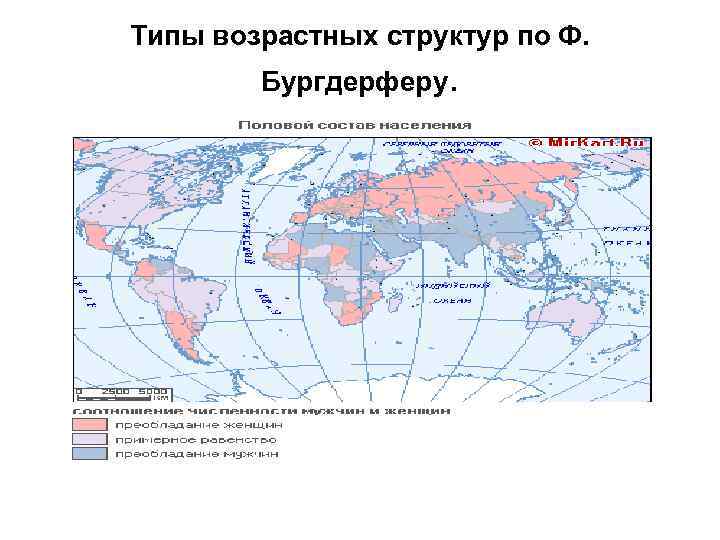 Типы возрастных структур по Ф. Бургдерферу. Типы возрастных структур по Ф. Бургдерферу.