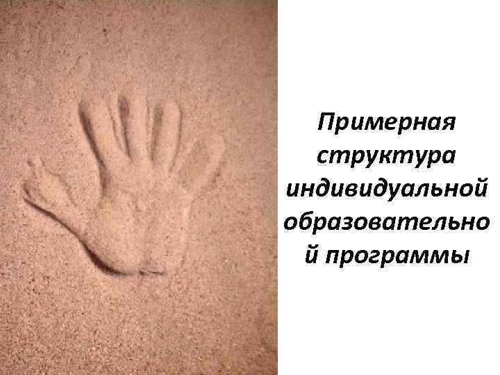  Примерная  структура индивидуальной образовательно й программы 