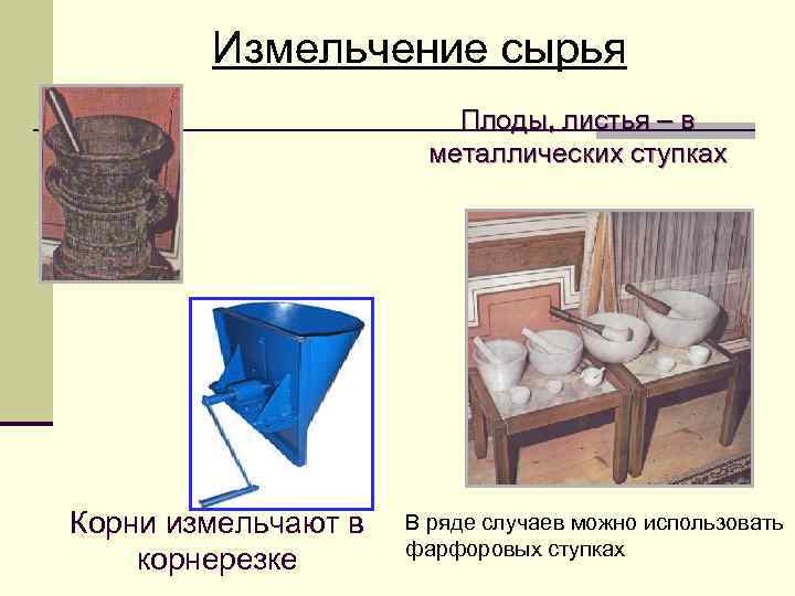   Измельчение сырья     Плоды, листья – в  