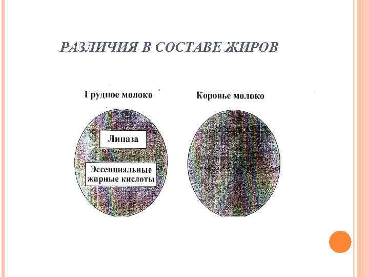 РАЗЛИЧИЯ В СОСТАВЕ ЖИРОВ 